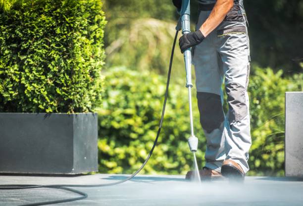 Best Animal Enclosure Cleaning  in Hargill, TX