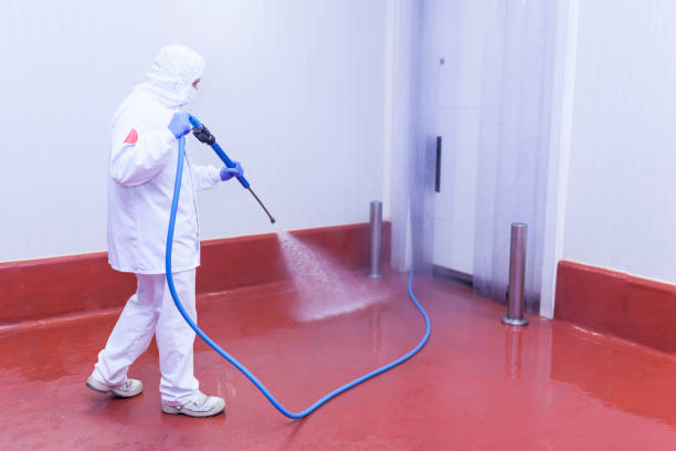 Best Warehouse Cleaning  in Hargill, TX