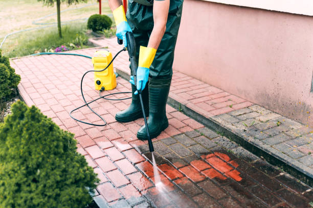 Best Gutter Cleaning  in Hargill, TX