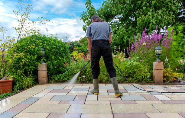 Reliable Hargill, TX Pressure Washing Services Solutions
