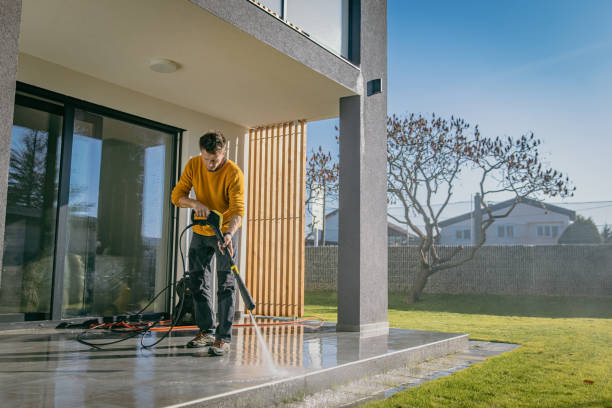 Best Driveway Pressure Washing  in Hargill, TX