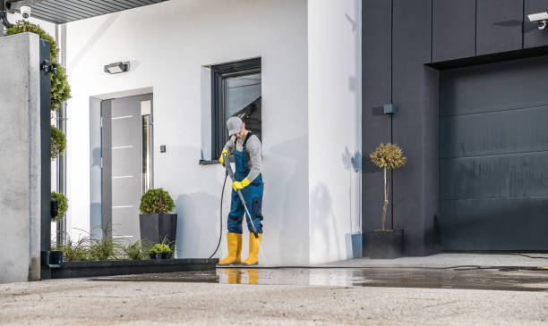 Best Patio and Deck Pressure Washing  in Hargill, TX